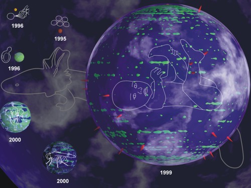 Genome overview