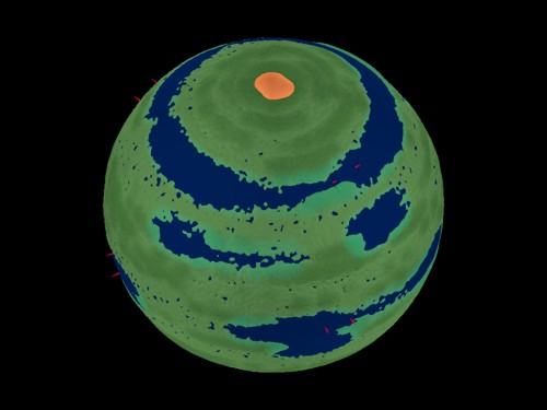 Mitochondrial genome