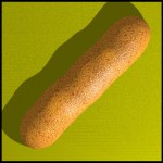 E. coli genome E. coli genome