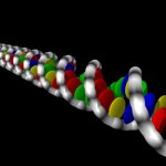DNA double helix DNA double helix