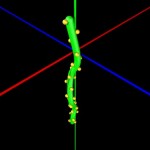 Shoot-like distribution Shoot-like distribution