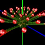 Aeonium branches Aeonium branches