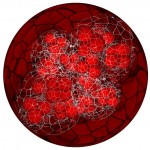 Volvox-fractal Volvox-fractal