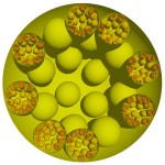 Volvox-fractal Volvox-fractal