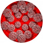 Volvox-fractal Volvox-fractal