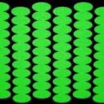 Modelling cells Modelling cells