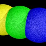 Blob formation Blob formation