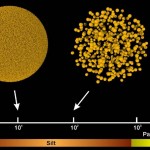 Particles and pores Particles and pores