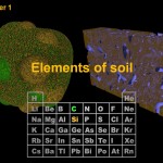 Cover of chapter 1 Cover of chapter 1