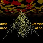 Cover of chapter 2 Cover of chapter 2