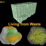 Cover of chapter 3 Cover of chapter 3