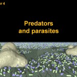 Cover of chapter 4 Cover of chapter 4