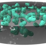 Aphanotheca Aphanotheca