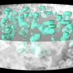 Aphanotheca Aphanotheca