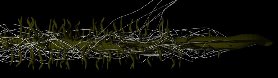 Life from Soil, Chapter 4 | Science – a picture story