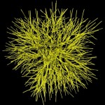 Fungal life-style Fungal life-style