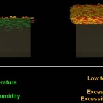Litter degradation Litter degradation