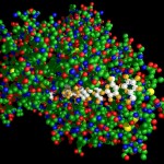 Cellulase Cellulase