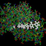 The true nature of proteins The true nature of proteins