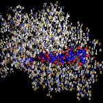 The true nature of proteins The true nature of proteins