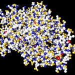 Fungal cellulase Fungal cellulase