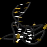 RNA Quadruplex RNA Quadruplex