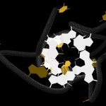 RNA Quadruplex RNA Quadruplex