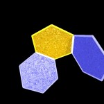 Initial aggregation Initial aggregation