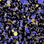 Initial aggregation Initial aggregation