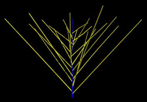 Branched structure