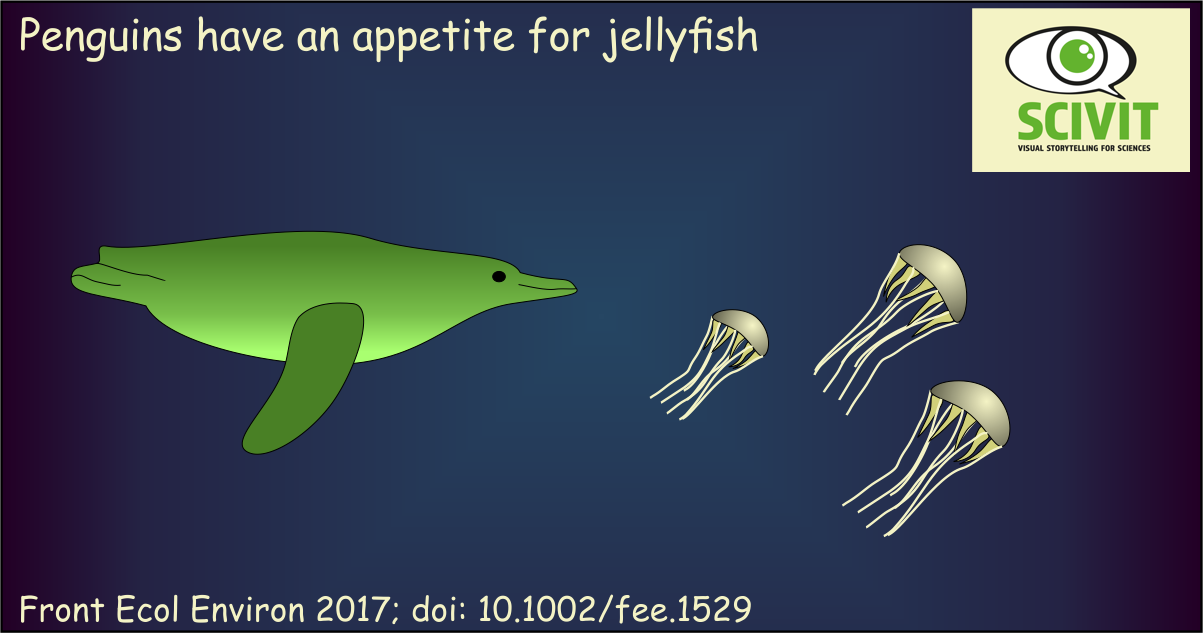 Jellyfish and penguin