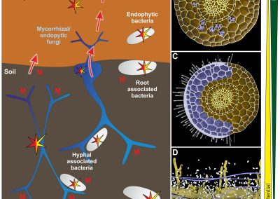 Figure to Curr Opin Biotech (27, 168-175)