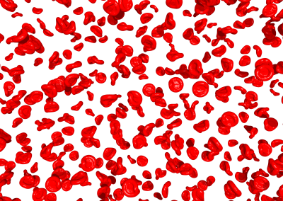 Erythrocytes