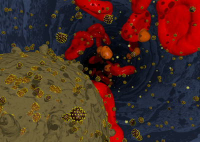 HIV budding from a lymphozyte