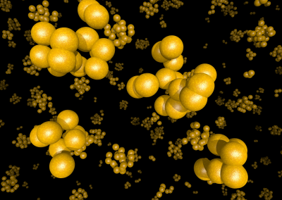 Staphylococcus