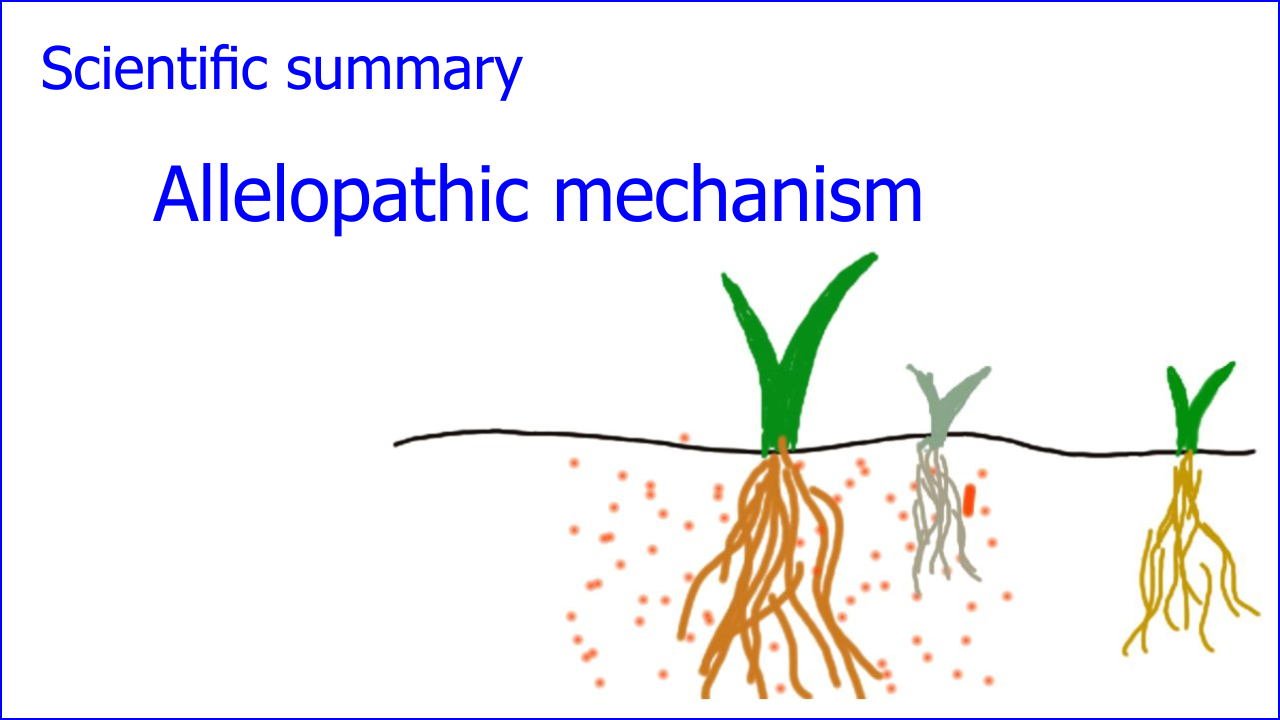 Allelopathy