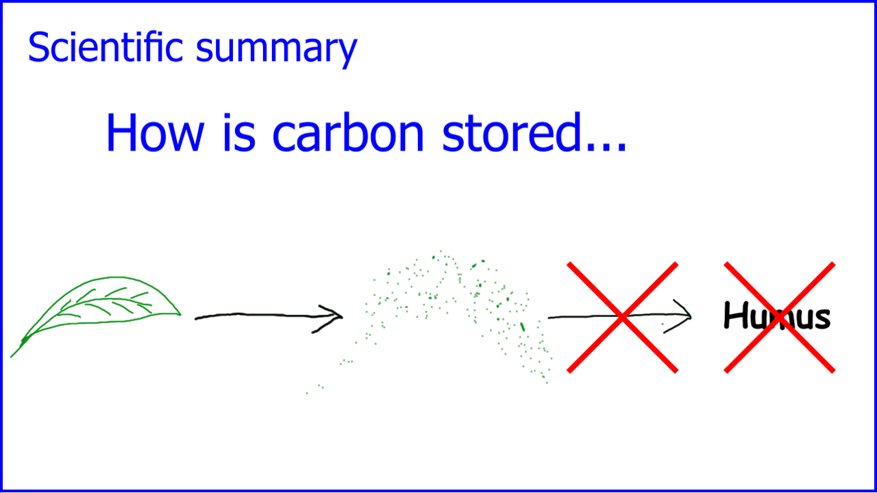 How is carbon stored in the soil?