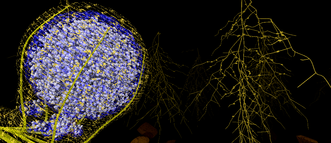 Can peptides replace plant genetic engineering? – Scivit