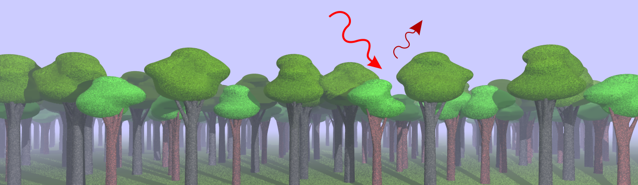 Forest chlorophyll fluorescence