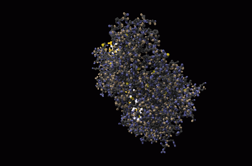 Crystal structure of Argonaute1 from Homo sapiens