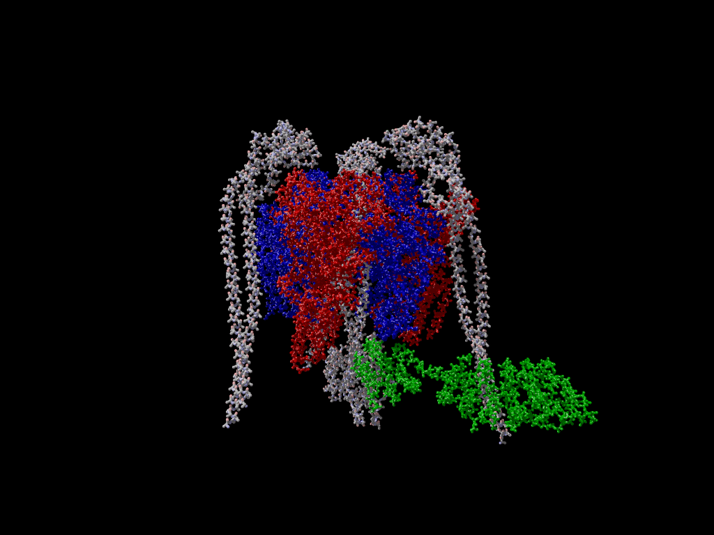 Crystal structure of a V-Type ATPase
