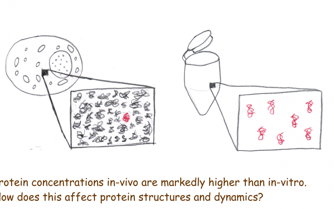 Cells are crowded places