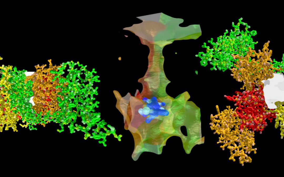 Ca2+ channels and their inhibitors