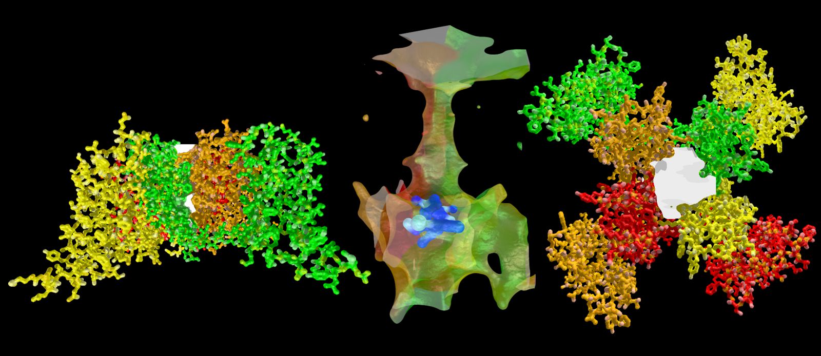 Ca2+ channels and their inhibitors - Scivit News