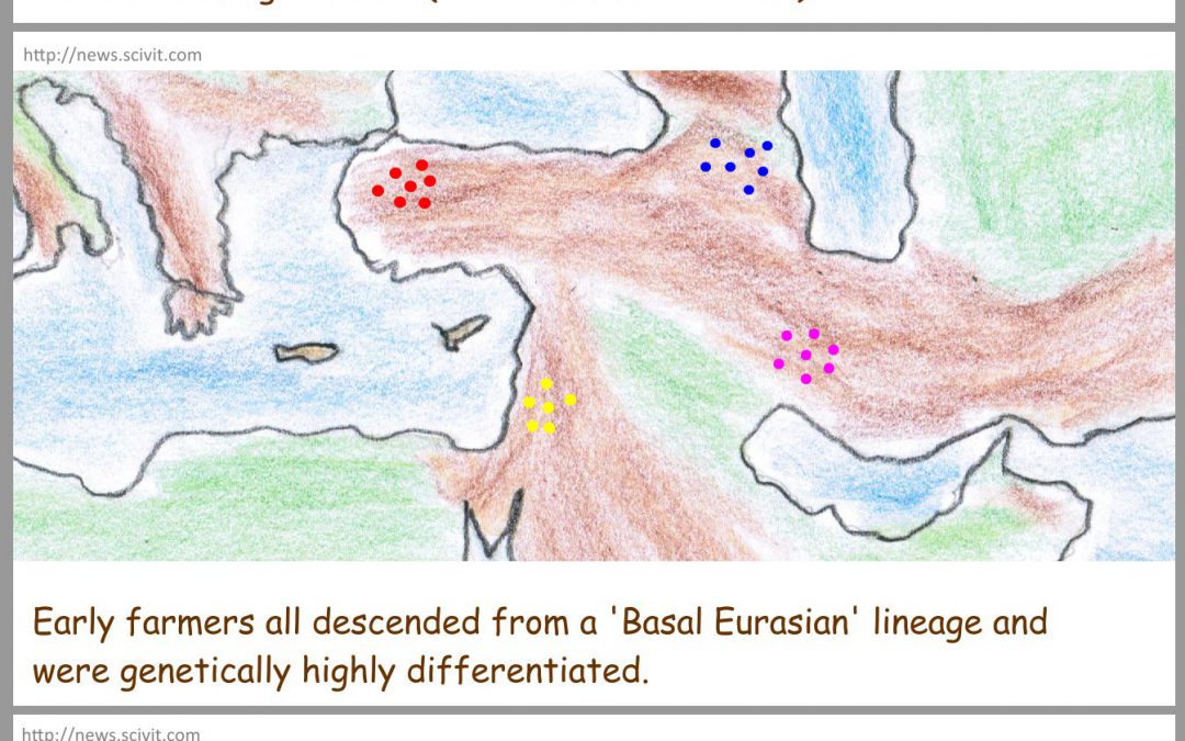 Consequences of the neolithic revolution for ancient populations