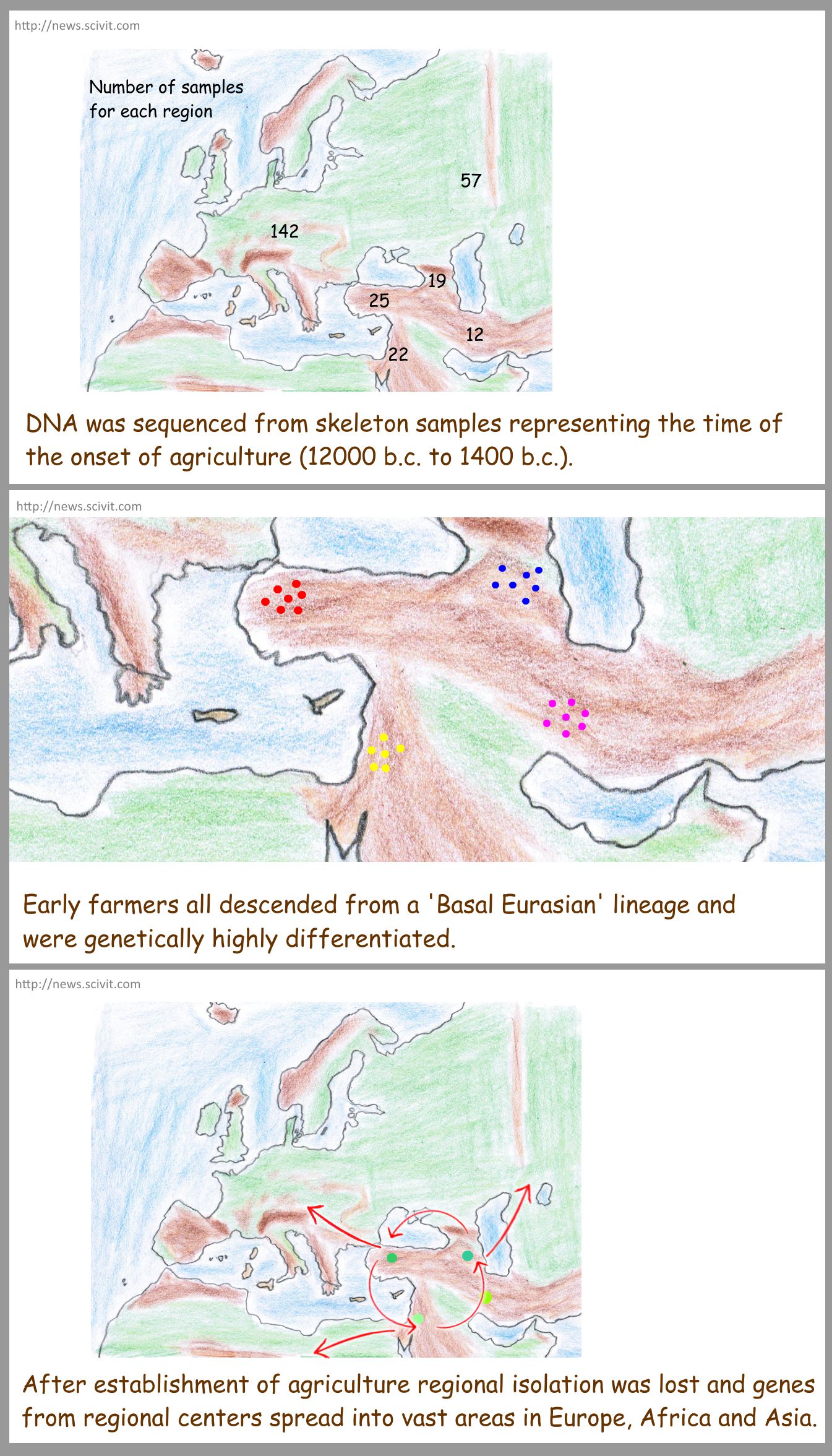 Consequences of the neolithic revolution for ancient populations