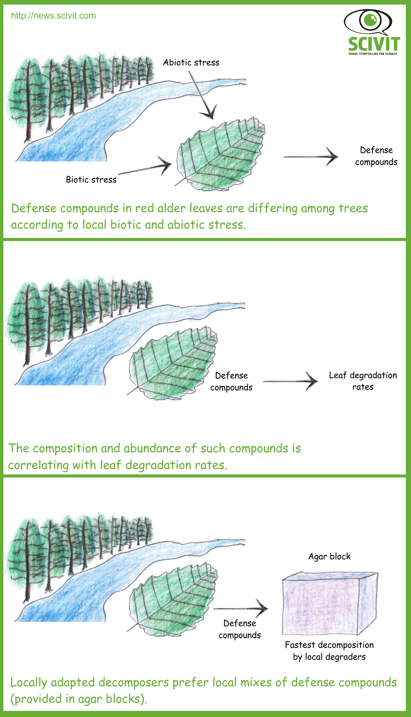 To which extent are leaf defense compounds driving leaf decomposing organisms?