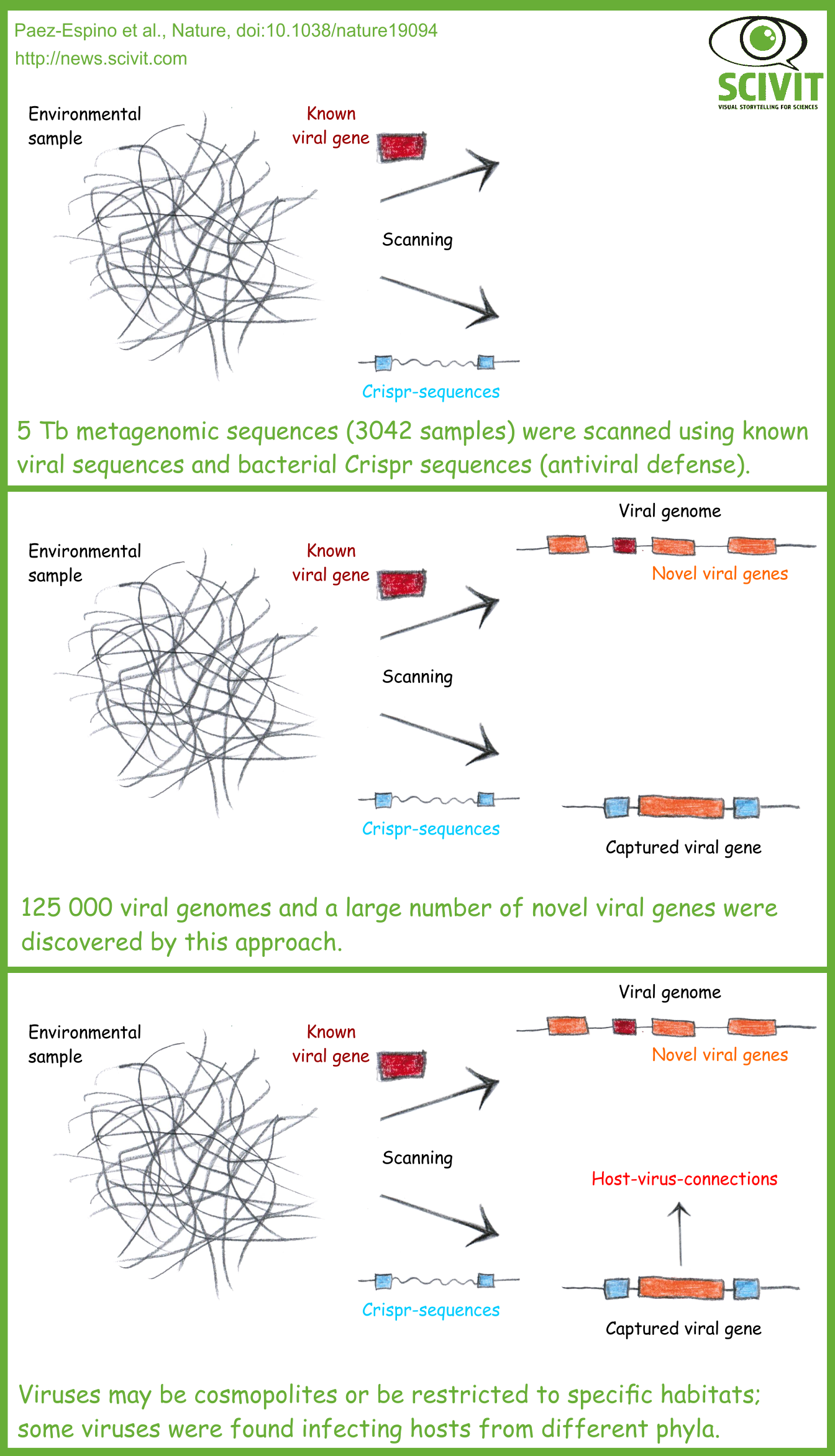 All the viruses of the world - Scivit News