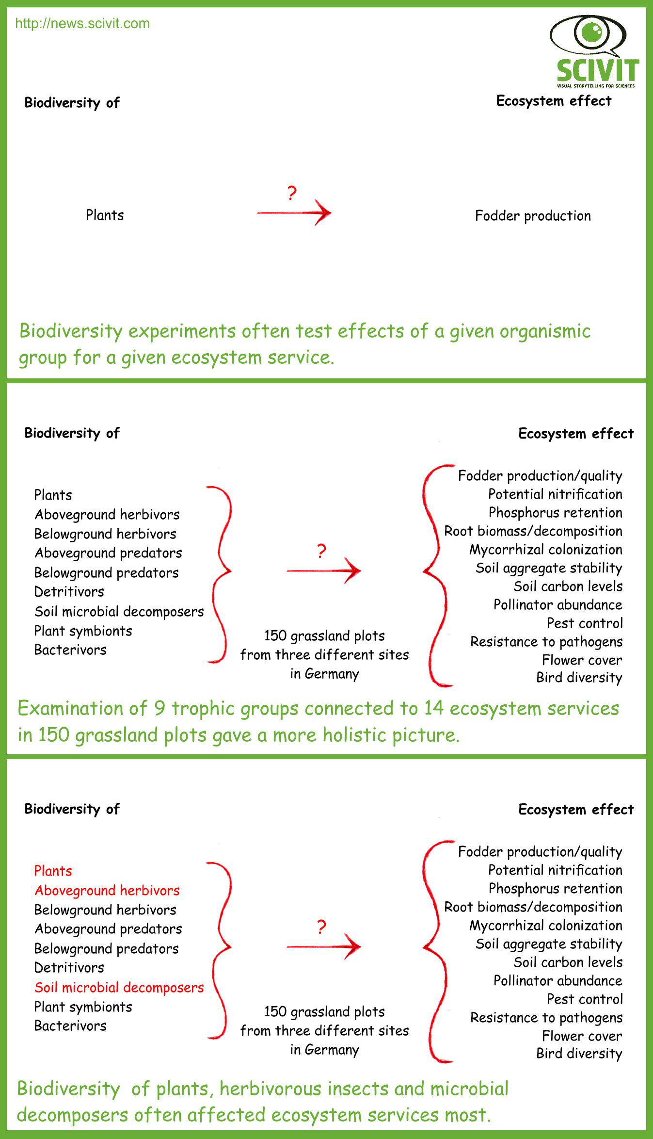 Towards a holistic view of biodiversity - Scivit News