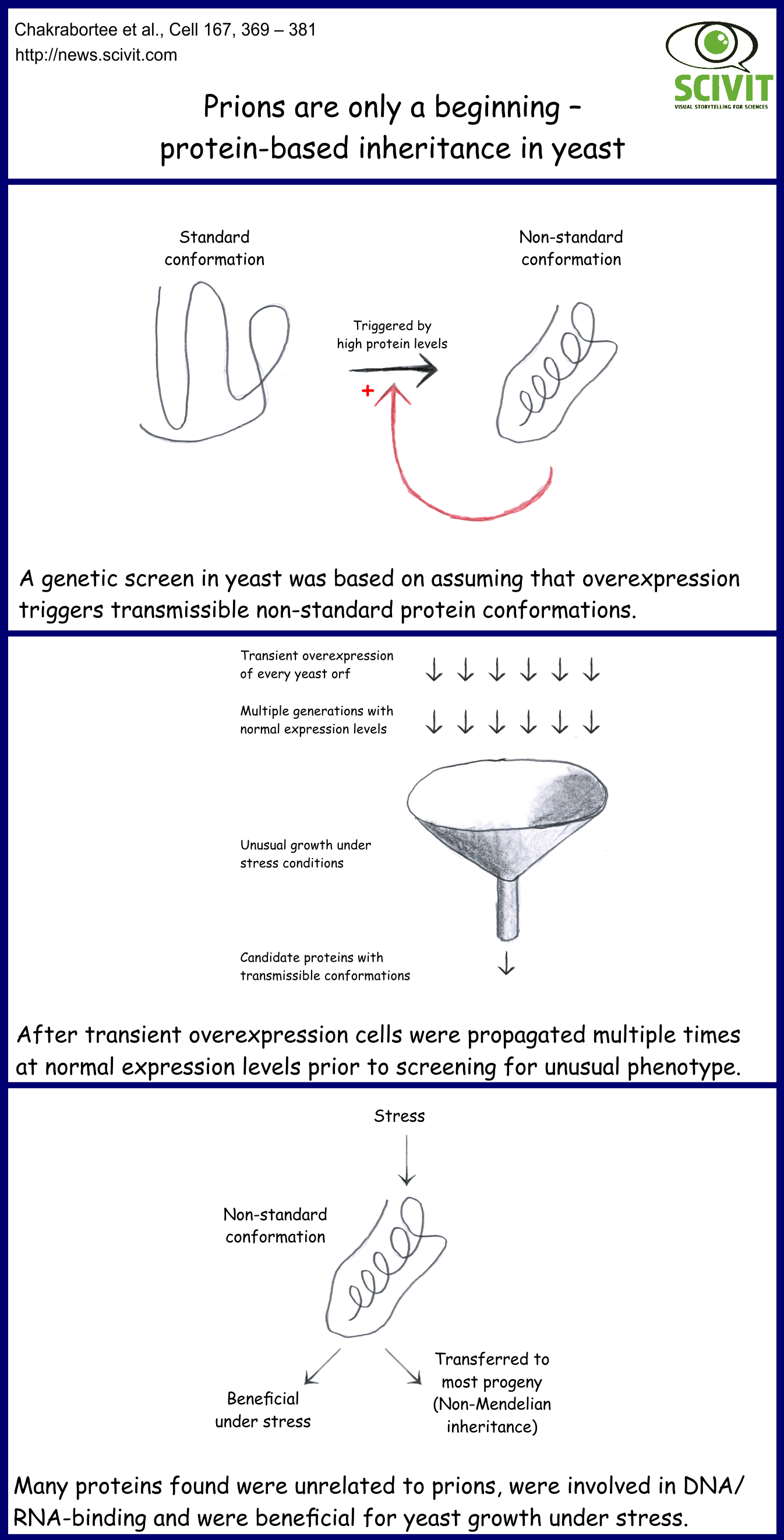  Prions are only a beginning – protein-based inheritance in yeast